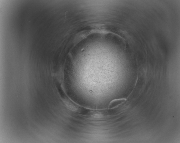 X0000069830658200605261842