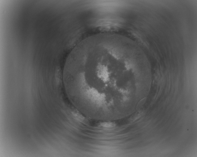 X0000069830659200605261842