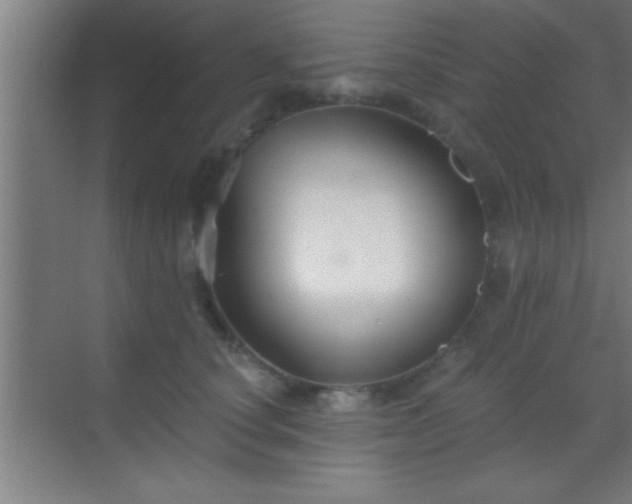 X0000069830660200605261842