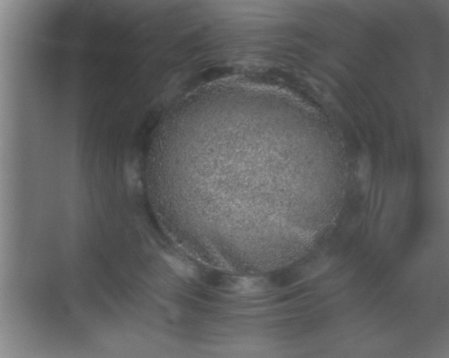 X0000069830663200605261842