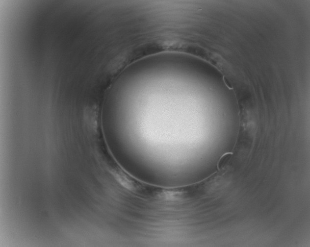 X0000069830664200605261842