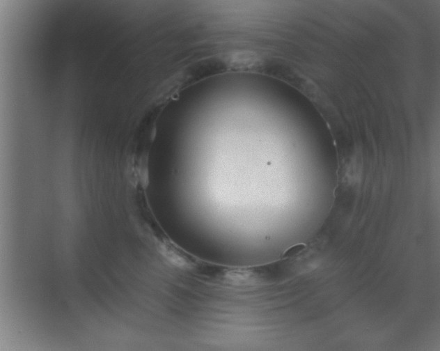 X0000069830666200605261842