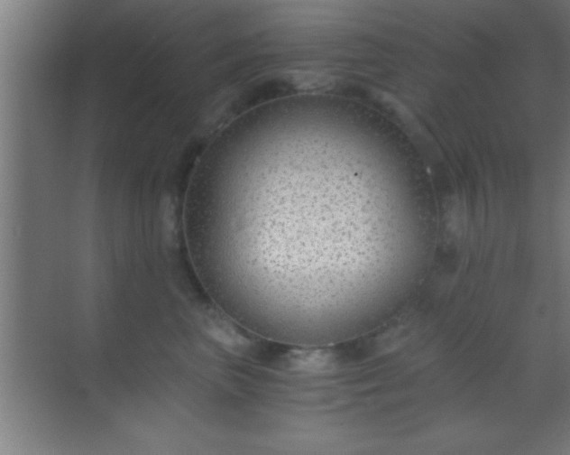 X0000069830667200605261842