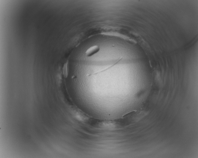 X0000069830668200605261842