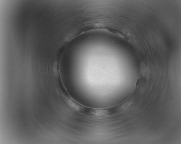 X0000069830670200605261842