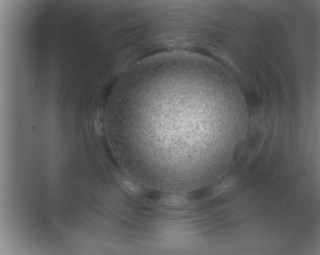 X0000069830671200605261842