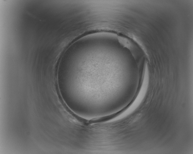 X0000069830673200605261842