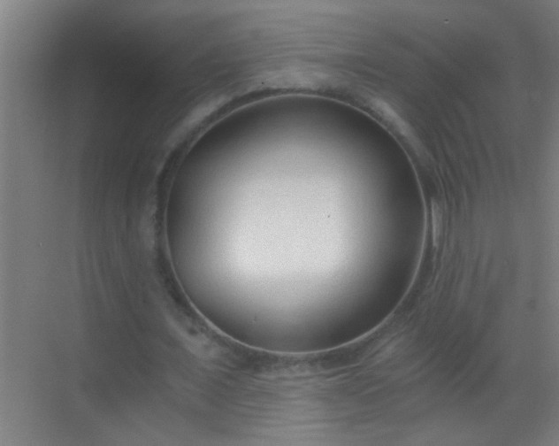 X0000069830675200605261842