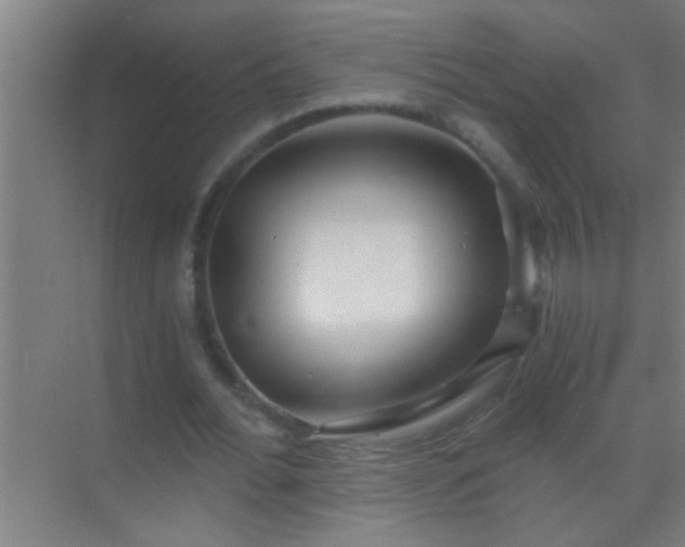 X0000069830676200605261841