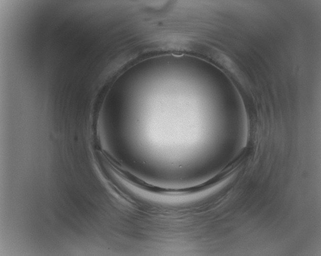 X0000069830677200605261841