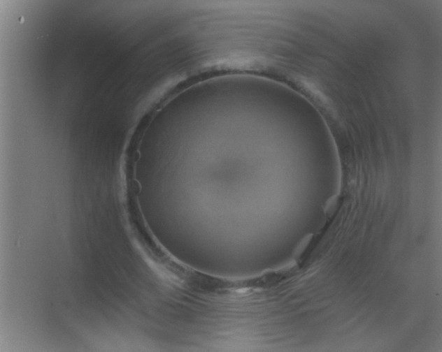 X0000069830678200605261841