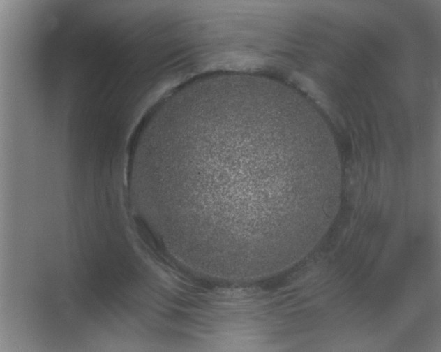 X0000069830679200605261841