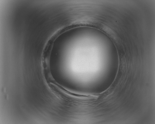 X0000069830680200605261841