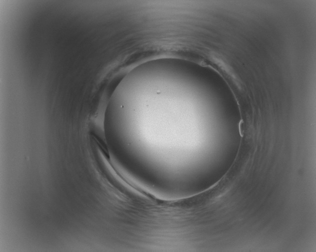 X0000069830681200605261841