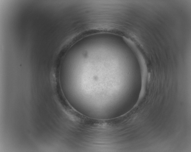 X0000069830688200605261841