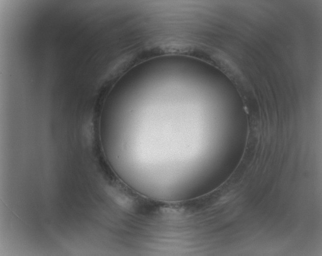 X0000069830690200605261841