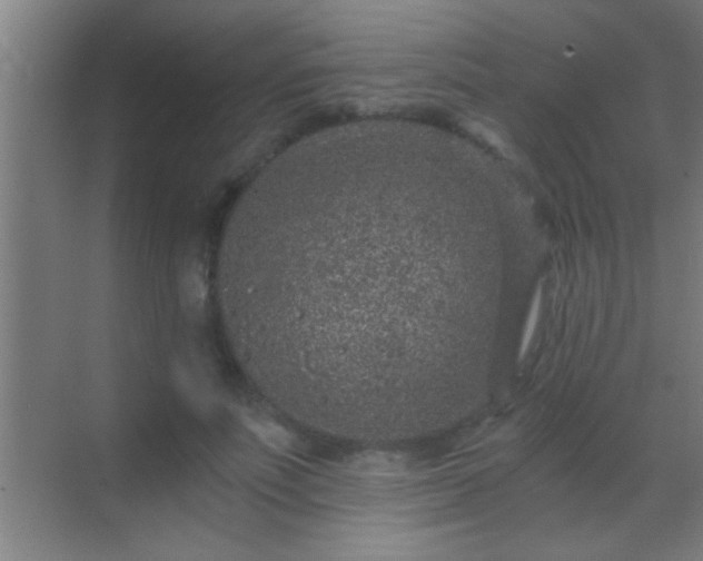 X0000069830691200605261841