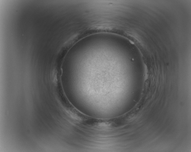 X0000069830692200605261841