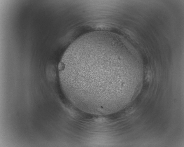 X0000069830695200605261841