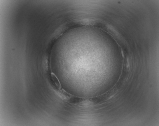 X0000069830696200605261841