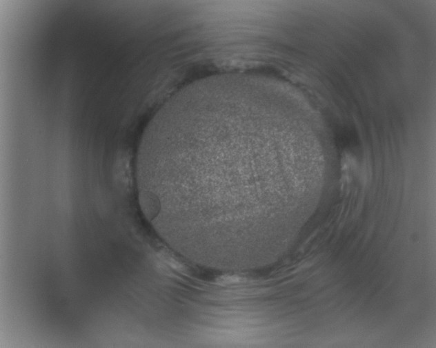 X0000069830699200605261841