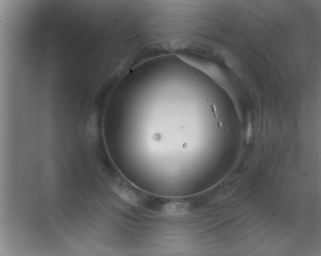 X0000069830700200605261841