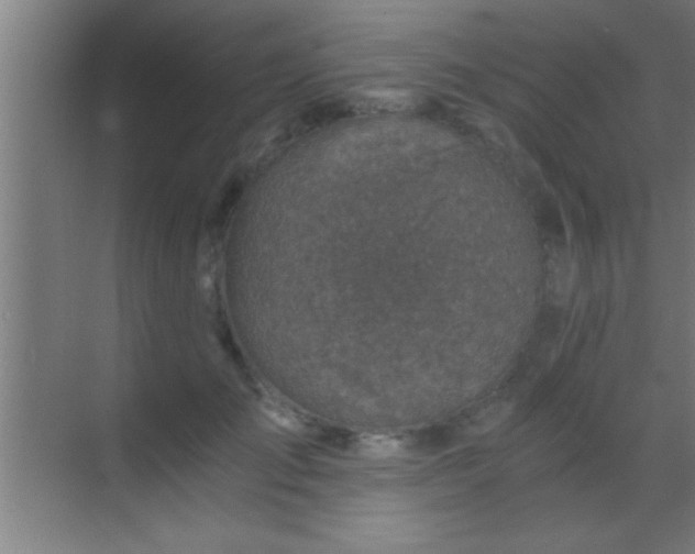 X0000069830701200605261841