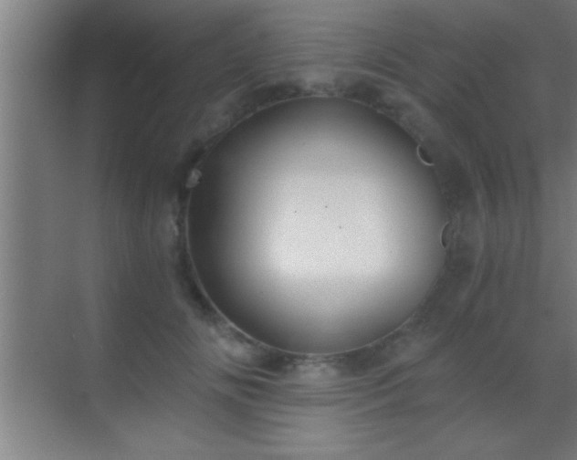 X0000069830702200605261841