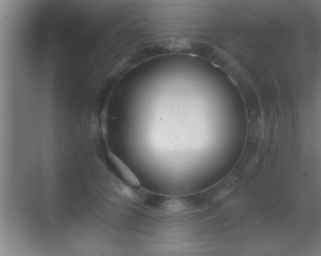 X0000069830704200605261841