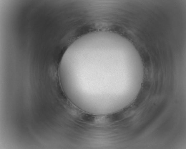 X0000069830705200605261841