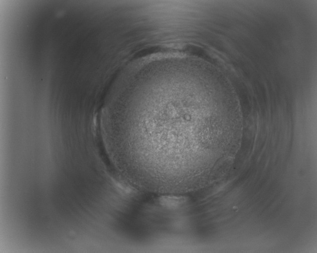 X0000069830707200605261841