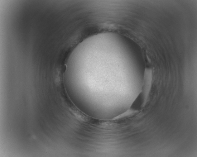 X0000069830708200605261841