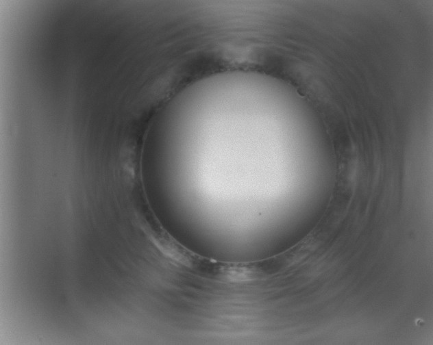 X0000069830710200605261841