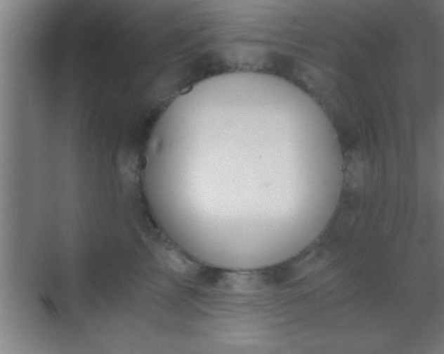 X0000069830713200605261841