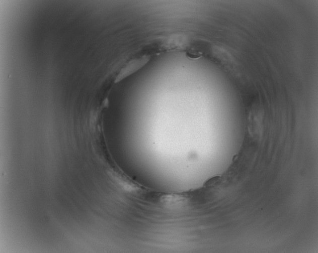 X0000069830714200605261841