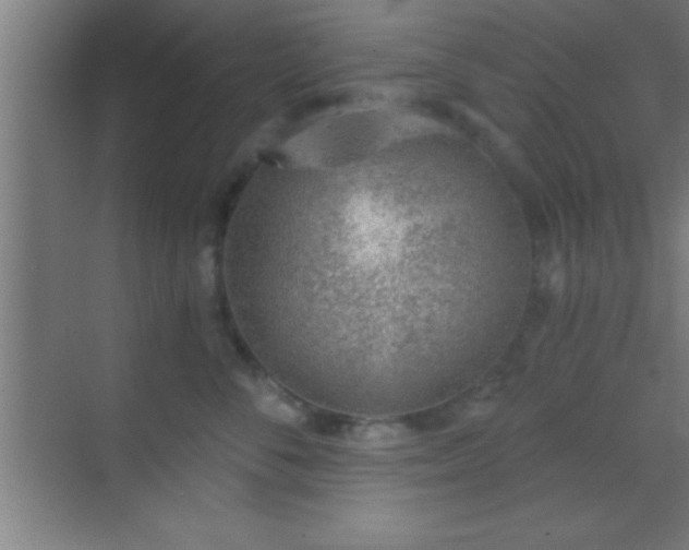 X0000069830716200605261841