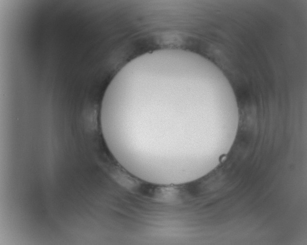 X0000069830717200605261841