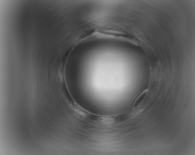 X0000069830719200605261841