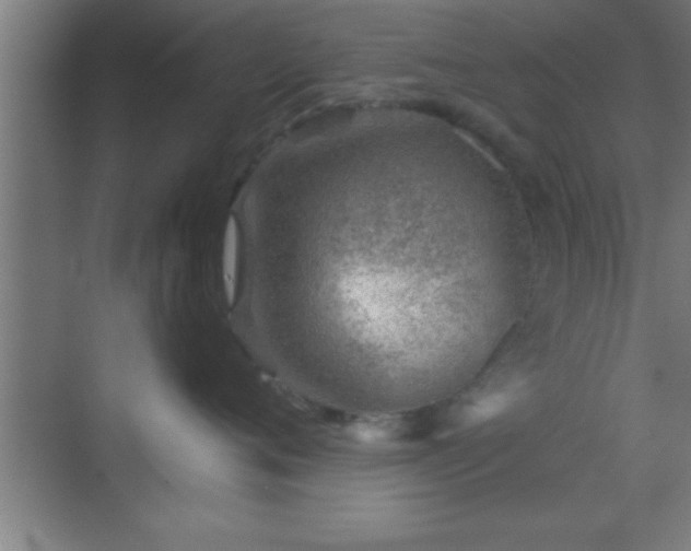 X0000069830720200605261841