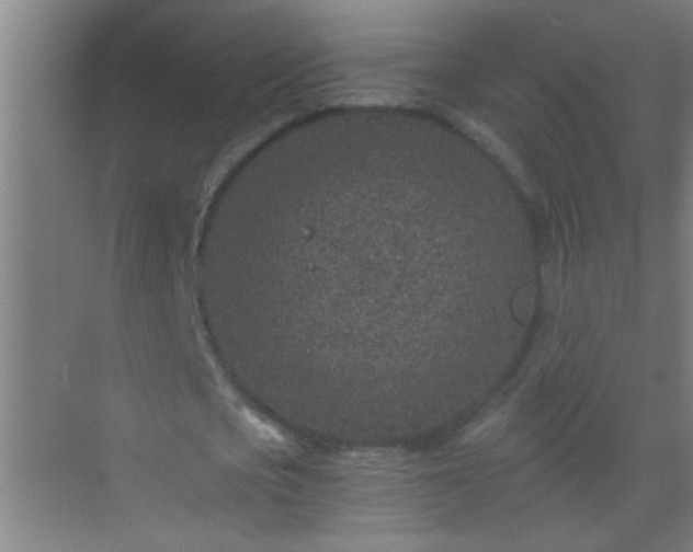 X0000069830721200605261840