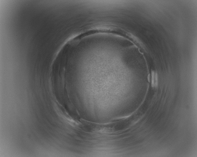 X0000069830723200605261840