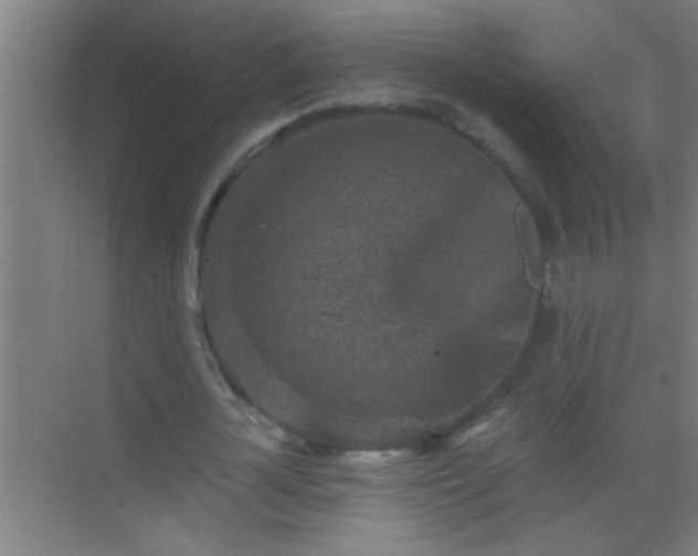 X0000069830724200605261840