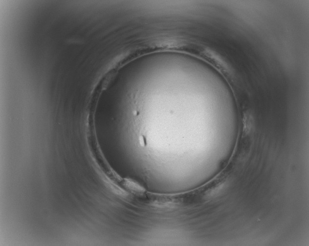 X0000069830725200605261840