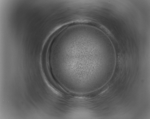 X0000069830726200605261840