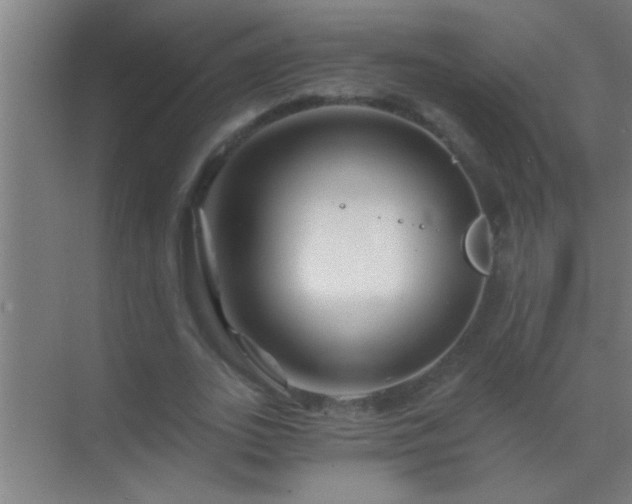 X0000069830727200605261840