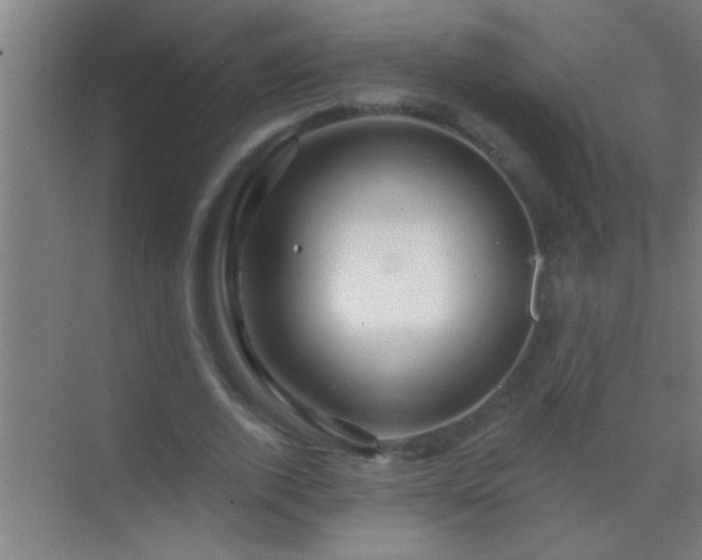 X0000069830728200605261840