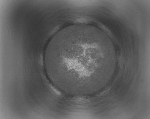 X0000069830729200605261840