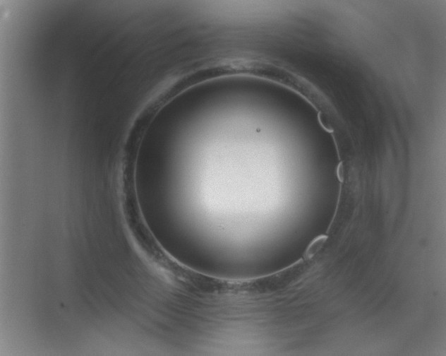 X0000069830730200605261840