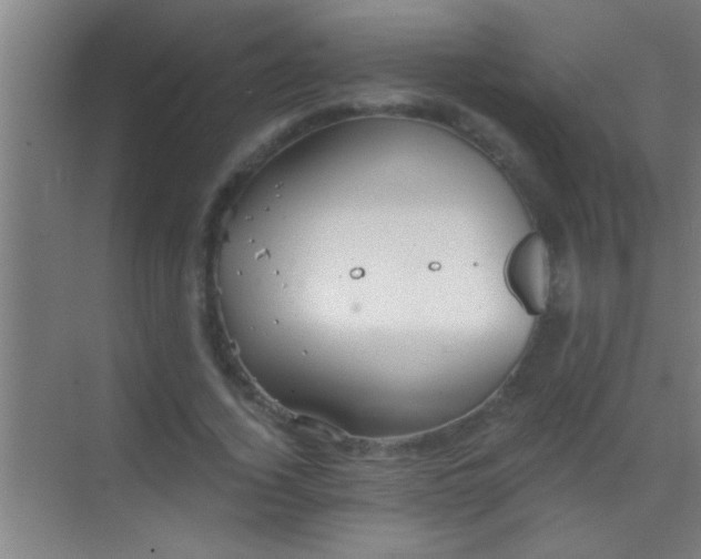 X0000069830732200605261840