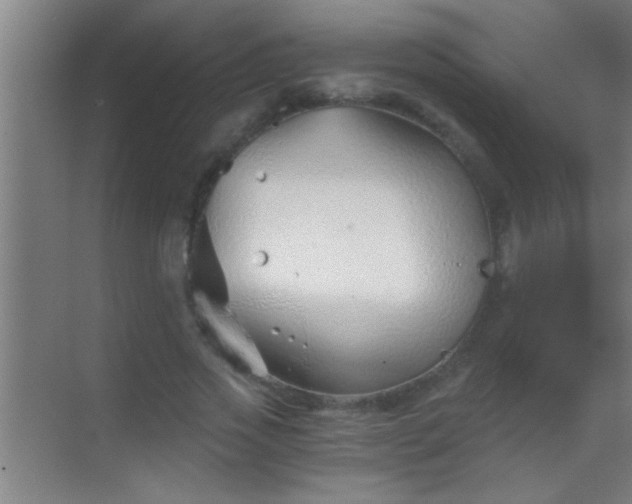 X0000069830733200605261840